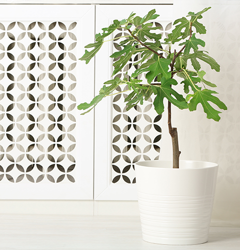 Panel aluminium